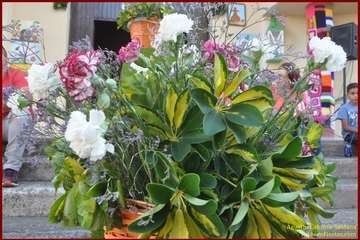 El Ejido inició esta noche sus fiestas patronales en honor de San Pedro y la Virgen del Carmen con el pregón y  varios reconocimientos (Foto TA y TF)